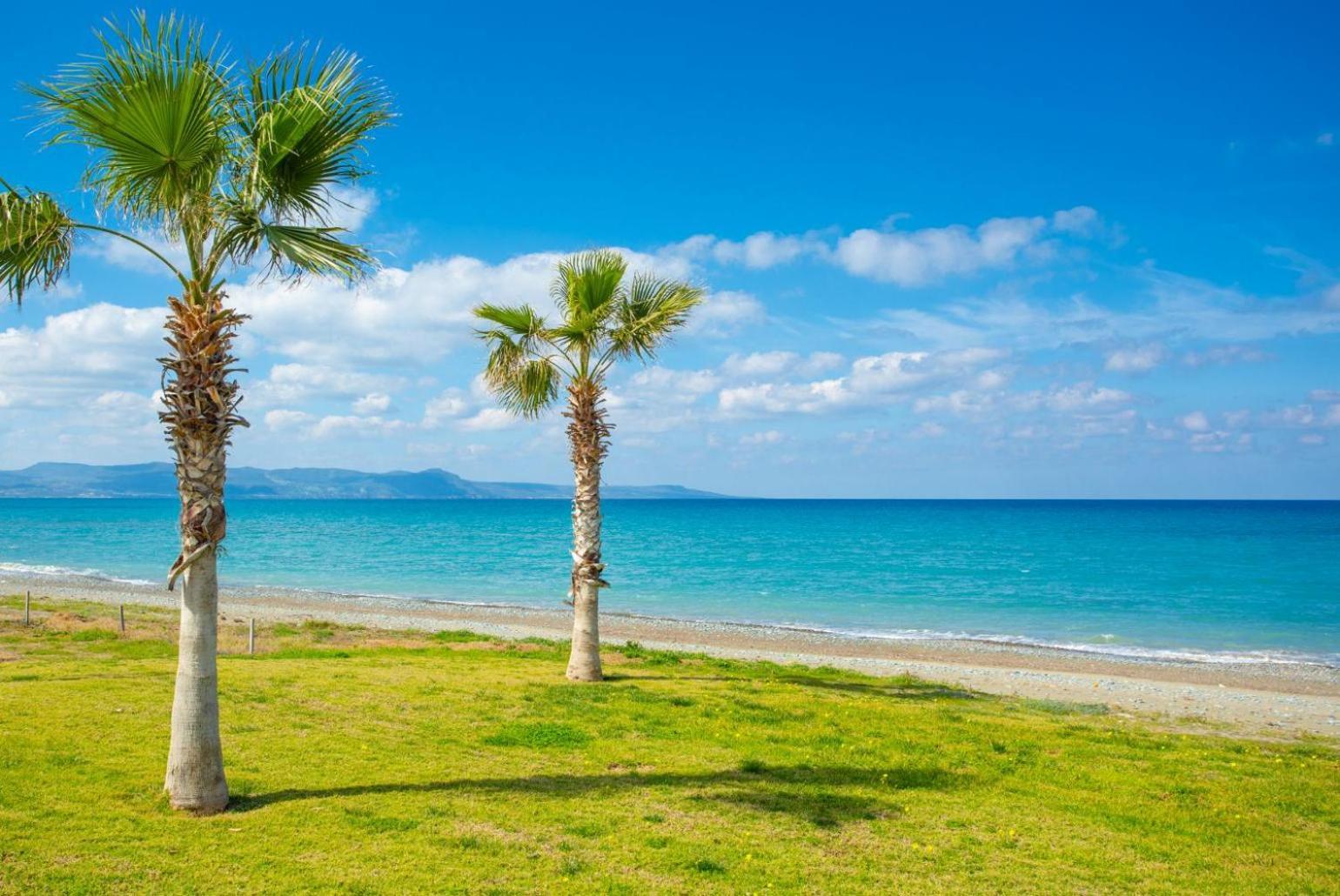 Villa Rose Paphos Eksteriør billede